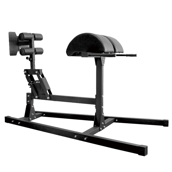 AT-GHD(Glute Ham)